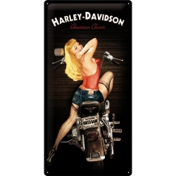 27016 Plakat 25 x 50cm Harley-Davidson B