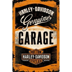 24001 Plakat 40 x 60cm Harley-Davidson G