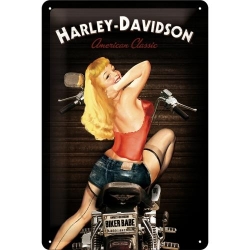 22214 Plakat 20x30 Harley-Davidson Babe