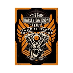 14347 Magnes Harley-Davidson - Wild At H