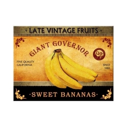 14042 Magnes Sweet Bananas