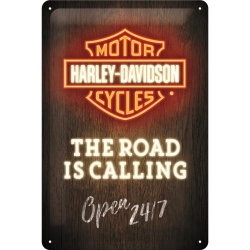 22294 Plakat 20x30 Harley-Davidson Neon