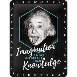 26247 Plakat 15 x 20cm Einstein-Imaginat