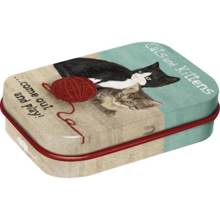81231 Mint Box Cats and Kittens