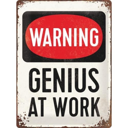 23229 Plakat 30 x 40cm Genius at Work