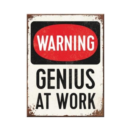 14352 Magnes Genius at Work