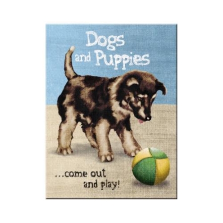 14316 Magnes Dogs and Puppies