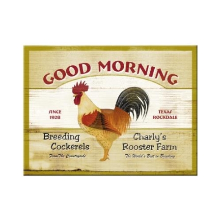 14177 Magnes Good Morning