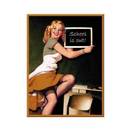 14172 Magnes Pin up - School