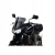 LOSTER Szyba motocyklowa Kawasaki Z 750 Racing 2003 - 2006